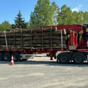 Grume de bois de chêne en camion 40 m³. Approvisionnement premium pour scieries et professionnels. Qualité optimale et forte disponibilité.