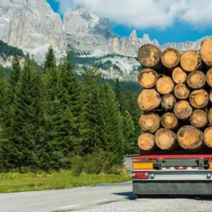 GRUME DE BOIS DE PIN 1 CAMION DE 40M3